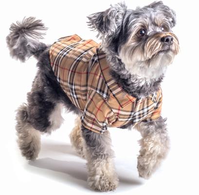 Show full view: The Worthy Dog Tan Plaid Dog Shirt, Tan, Small slide 4 of 5