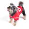 Show in main carousel: The License House Ohio State Logo Dog Jersey, Scarlet, X-Small slide 4 of 4