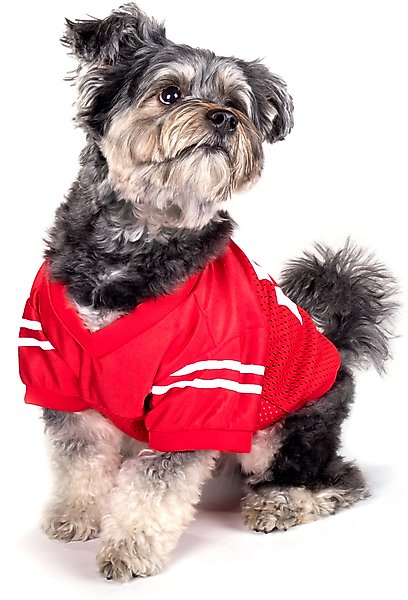Show full view: The License House Ohio State Logo Dog Jersey, Scarlet, XX-Large slide 2 of 4