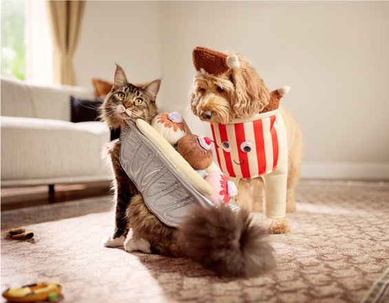 How Long Does Chewy Take to Ship Dog Food: Fast & Reliable Delivery