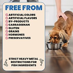 Almo Nature HQS Complete Gluten-Free Chicken Stew with Beef Shredded Canned Wet Dog Food, 5.5-oz, case of 12 slide 2 of 8