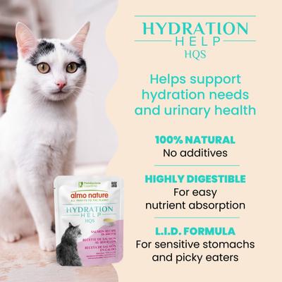 Show full view: Almo Nature Hydration Help HQS Salmon Recipe in Broth Wet Cat Food Topping, 1.77-oz pouch, case of 12 slide 4 of 10