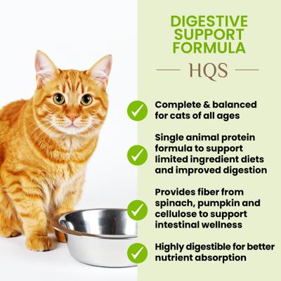 Show full view: Almo Nature HQS Supportive Formulas Digestive Support Formula Shredded Chicken Recipe with Pumpkin in Gravy Wet Cat Food, 1.77-oz can, case of 6 slide 4 of 10