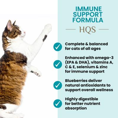 Show full view: Almo Nature HQS Supportive Formulas Immune Support Formula Shredded Chicken Recipe with Blueberry in Gravy Wet Cat Food, 1.77-oz can, case of 6 slide 4 of 10