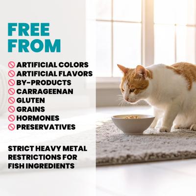 Show full view: Almo Nature HQS Supportive Formulas Immune Support Formula Shredded Chicken Recipe with Blueberry in Gravy Wet Cat Food, 1.77-oz can, case of 6 slide 5 of 10