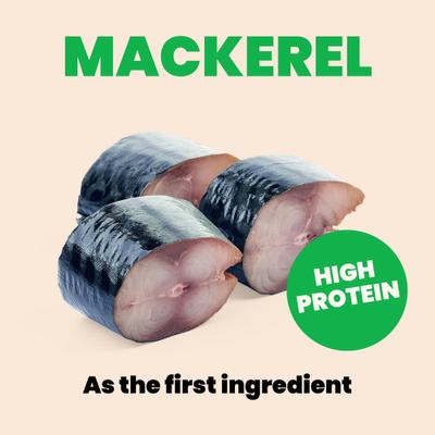 Show full view: Almo Nature HQS Paté Mackerel & Chicken Recipe in Gravy Grain-Free Pate Wet Canned Cat Food, 2.47-oz can, case of 24 slide 6 of 10