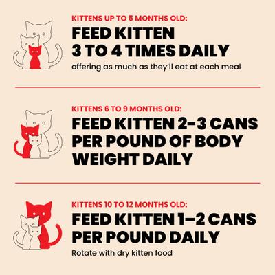 Show full view: Almo Nature HQS Natural Whitefish with Mackerel in Broth Grain-Free Pate Kitten Wet Canned Cat Food, 2.47-oz can, case of 24 slide 8 of 10