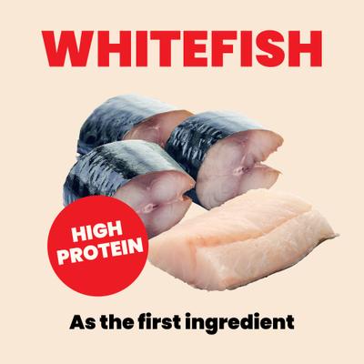 Show full view: Almo Nature HQS Natural Whitefish with Mackerel in Broth Grain-Free Pate Kitten Wet Canned Cat Food, 2.47-oz can, case of 24 slide 6 of 10