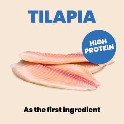 Show full view: Almo Nature HQS Complete Tilapia Recipe in Gravy Wet Cat Food, 2.47-oz can, case of 12 slide 6 of 9