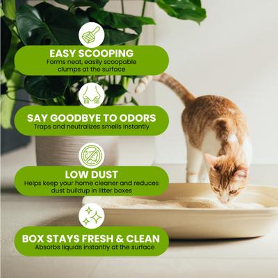 Show full view: Almo Nature Unscented Clumping Plant-Based Natural Cat Litter, 10-lb bag slide 6 of 13