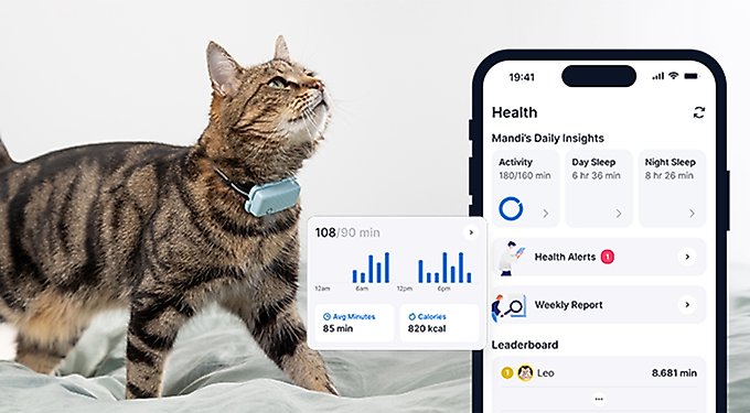 Tractive Cat Mini GPS Tracker & Activity Monitor