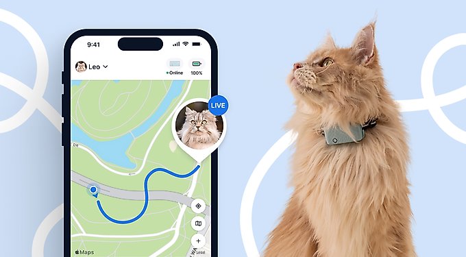 Tractive Cat Mini GPS Tracker & Activity Monitor