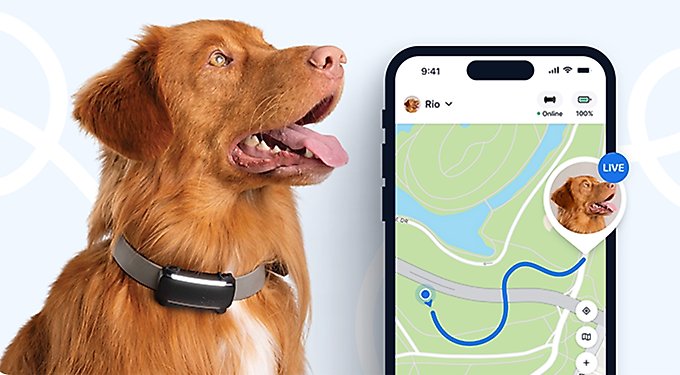 Tractive Dog GPS Tracker with Activity Monitoring