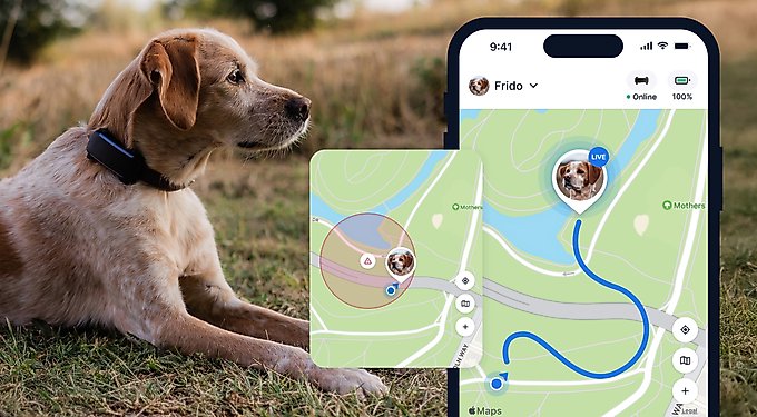Tractive Dog GPS Tracker with Activity Monitoring
