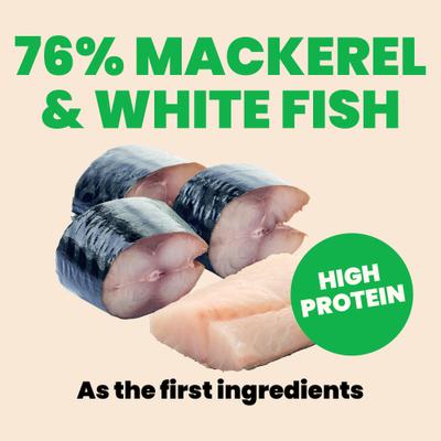 Show full view: Almo Nature HQS Natural Ocean Fish in Broth Grain-Free Canned Cat Food, 2.47-oz, case of 24 slide 6 of 12