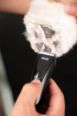 Show full view: Wahl Fidela Cordless Dog Trimmer Kit, Black slide 7 of 12