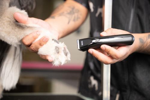 Show full view: Wahl Fidela Cordless Dog Trimmer Kit, Black slide 8 of 12