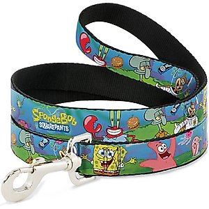 Buckle-Down SpongeBob & Friends Logo Polyester Dog Leash, Blue, 6-ft long, 1-in wide