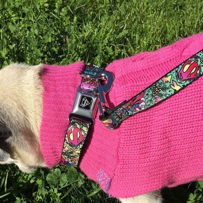 Show full view: Buckle-Down DC Comics Supergirl Tattoo Scene Polyester Dog Leash, Green, 6-ft long, 1-in wide slide 4 of 4