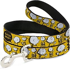 Buckle-Down Peanuts I Am Charlie Brown Poses & Zig Zag Stripe Polyester Dog Leash, Yellow, 6-ft long, 1-in wide