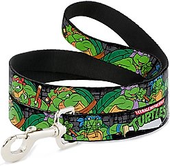 Buckle-Down Ninja Turtles Group Pose In Sewer TMNT Logo Polyester Dog Leash, Green, 6-ft long, 1-in wide