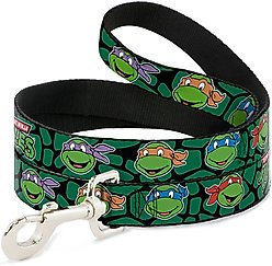 Buckle-Down TMNT Teenage Mutant Ninja Turtles Faces Turtle Shell Polyester Dog Leash, Green, 6-ft long, 1-in wide