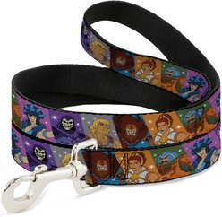 Buckle-Down Mattel Masters of the Universe Character Block Poses Polyester Dog Leash, 6-ft long, 1-in wide