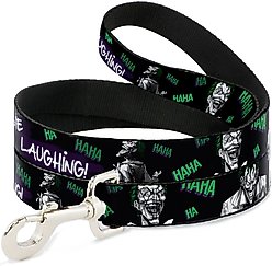 Buckle-Down DC Comics Joker Die Laughing Haha Polyester Dog Leash, Green, 6-ft long, 1-in wide