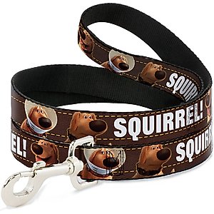 Buckle-Down Disney Dug Poses Squirrel Polyester Dog Leash, Brown, 4-ft long, 1-in wide