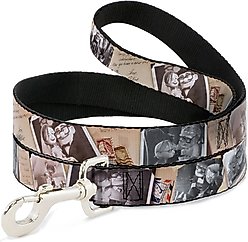 Buckle-Down Disney Up Adventure Book Snapshots Post Cards Polyester Dog Leash, Beige, 6-ft long, 1-in wide