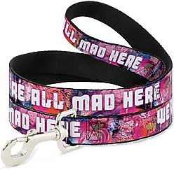 Buckle-Down Disney Transparent Cheshire Cat Poses We're All Mad Here Polyester Dog Leash, Pink, 6-ft long, 1-in wide
