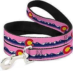 Buckle-Down Colorado Flag Icon Mountain Skyline Polyester Dog Leash, 4-ft long, 1-in wide