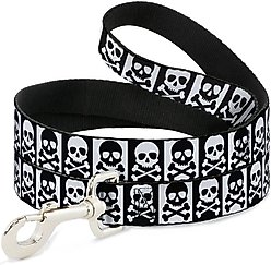 Buckle-Down Skull Cross Bones Blocks Polyester Dog Leash, 4-ft long, 1-in wide