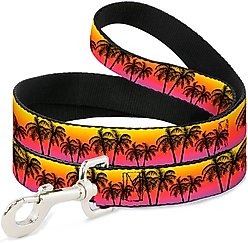Buckle-Down Palm Trees Sunset Fade Polyester Dog Leash, 6-ft long, 1-in wide