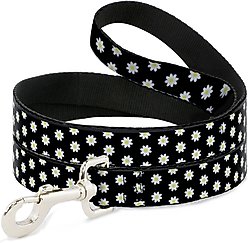 Buckle-Down Daisies Scattered Polyester Dog Leash, White, 6-ft long, 1-in wide