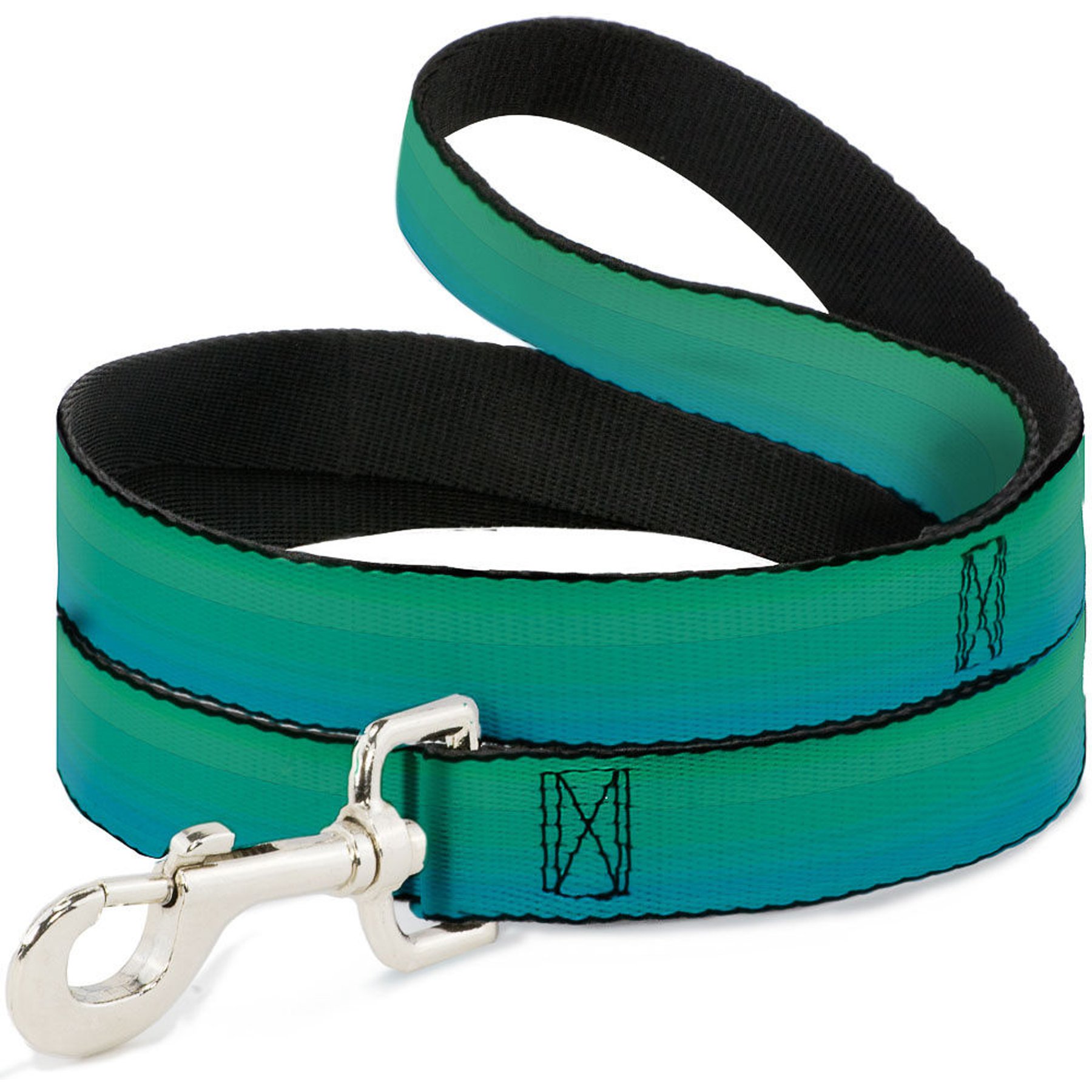 Buckle-Down Teal Ombre Polyester Dog Leash, Turquoise, 6-ft long, 1-in wide