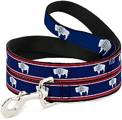 Buckle-Down Wyoming Flag Polyester Dog Leash, Blue, 6-ft long, 1-in wide