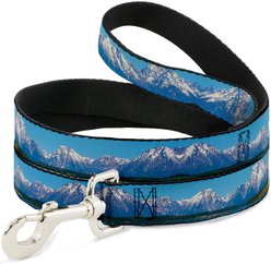Buckle-Down Landscape Snowy Mountains Polyester Dog Leash, Blue, 6-ft long, 1-in wide
