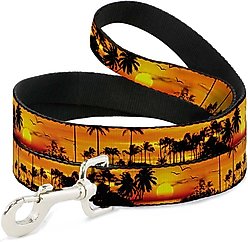 Buckle-Down Golden Sunset Polyester Dog Leash, Orange, 6-ft long, 1-in wide