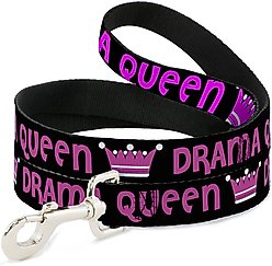 Buckle-Down Drama Queen Polyester Dog Leash, Purple, 4-ft long, 1-in wide