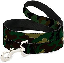 Buckle-Down Camo Olive Polyester Dog Leash, 4-ft long, 1-in wide
