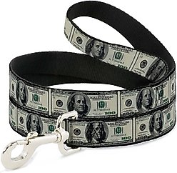 Buckle-Down 100 Dollar Bills Polyester Dog Leash, 6-ft long, 1-in wide