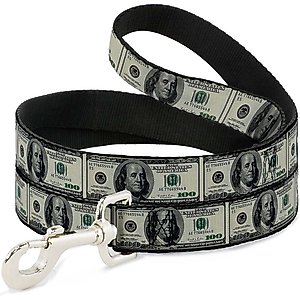 Buckle-Down 100 Dollar Bills Polyester Dog Leash, 4-ft long, 1-in wide