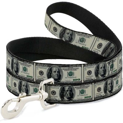 Buckle-Down Buckle-Down 100 Dollar Bills Polyester Dog Leash, 6-ft long, 1-in wide