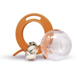 Best Hamster Enclosures & Accessories