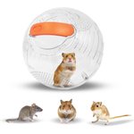 Best Hamster Enclosures & Accessories