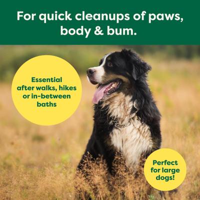 Show full view: Earth Rated 3-in-1 Hypoallergenic Cleaning, Deodorizing & Conditioning Unscented Dog & Cat Grooming Wipes, Green, X-Large: 11 x 12-in, 60 count slide 4 of 8