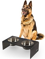 THE LICKER STORE Keaton Modern Lucite Stainless Steel Elevated Dog & Cat Bowls, Dark Gray/Chrome, Medium/Large: 7.5-in, 6.8 cup