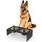 Show in main carousel: THE LICKER STORE Keaton Modern Lucite Stainless Steel Elevated Dog & Cat Bowls, Dark Gray/Chrome, Medium/Large: 7.5-in, 6.8 cup slide 1 of 6