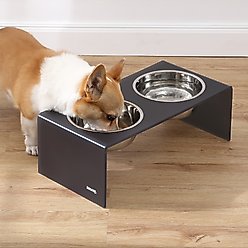 THE LICKER STORE Keaton Modern Lucite Stainless Steel Elevated Dog & Cat Bowls, Dark Gray/Chrome, Medium/Large: 7.5-in, 6.8 cup slide 2 of 6